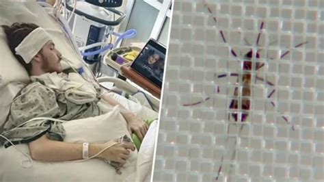 procter & gamble mission statement|Missouri teenager left paralyzed and on a ventilator from West .